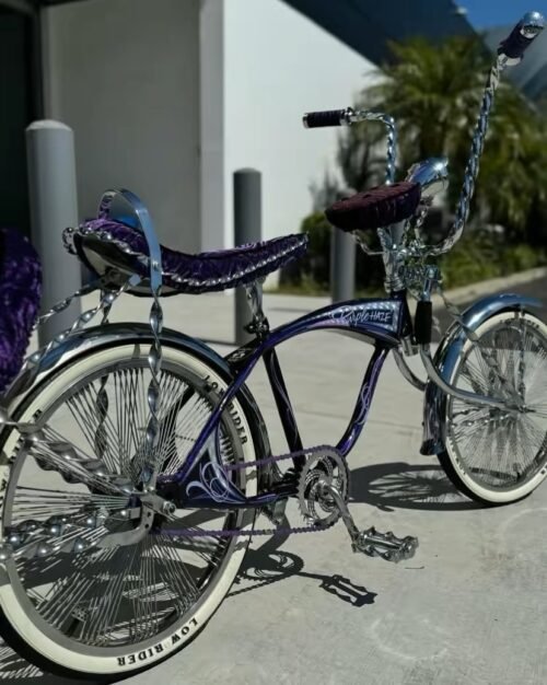 Vintage bicycle