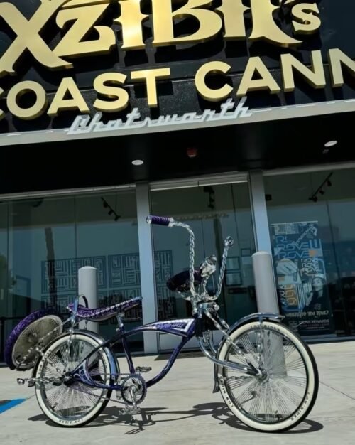 Vintage bicycle
